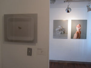 view of the show1